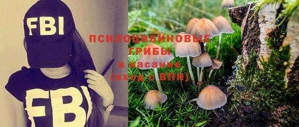 твердый Алексеевка