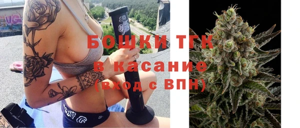 твердый Алексеевка