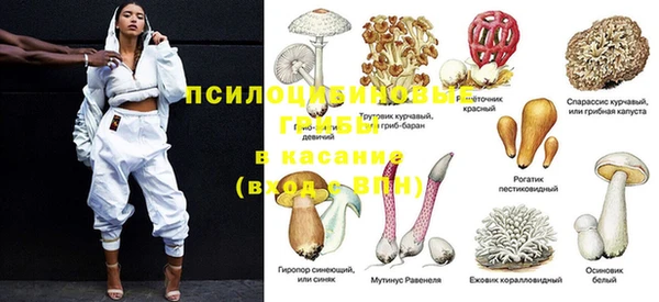 трава Алексин