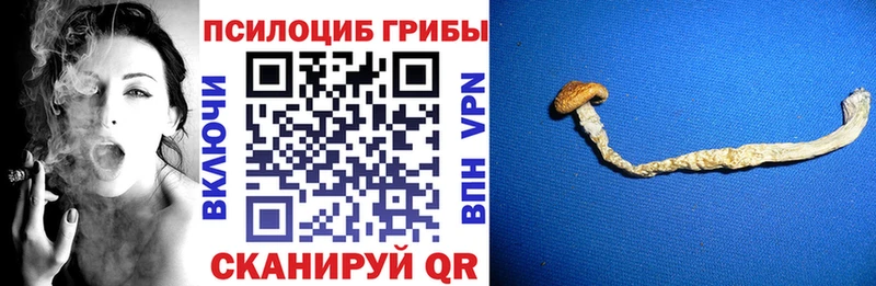 Галлюциногенные грибы Cubensis  Нефтекамск 